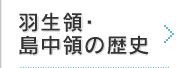 羽生領・島中領の歴史