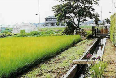 佐川用水路（久喜市河原代地内）